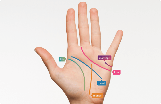 palm scanner